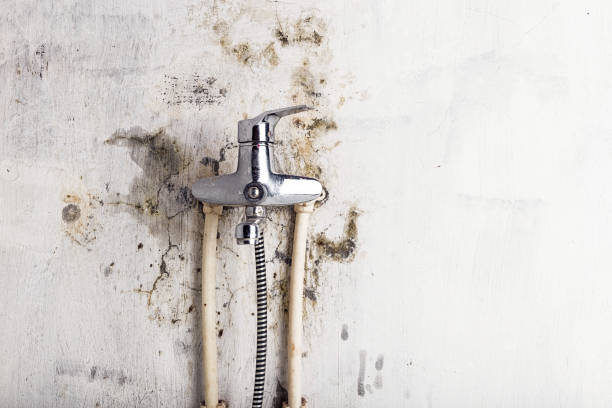 Best Water Damage Restoration  in North Hobbs, NM