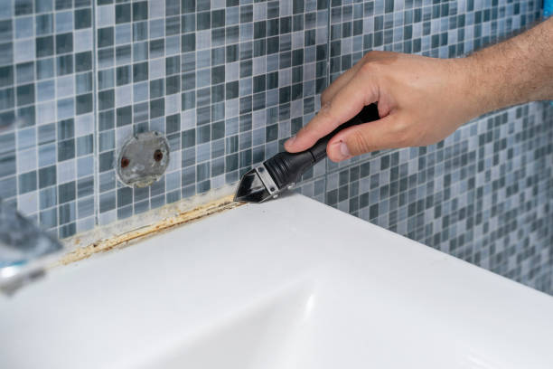 Best Office Mold Removal Services  in North Hobbs, NM